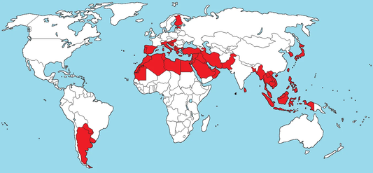 Why Bidets Are Becoming More Popular in Toilet Paper-Only Countries